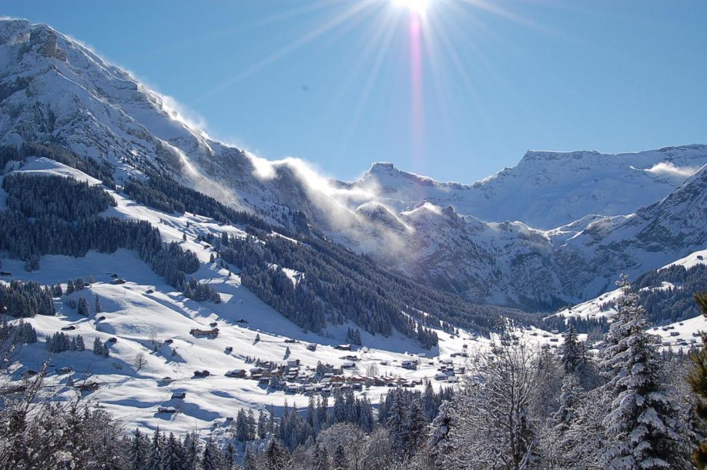 Hotel Crystal Adelboden Oda fotoğraf