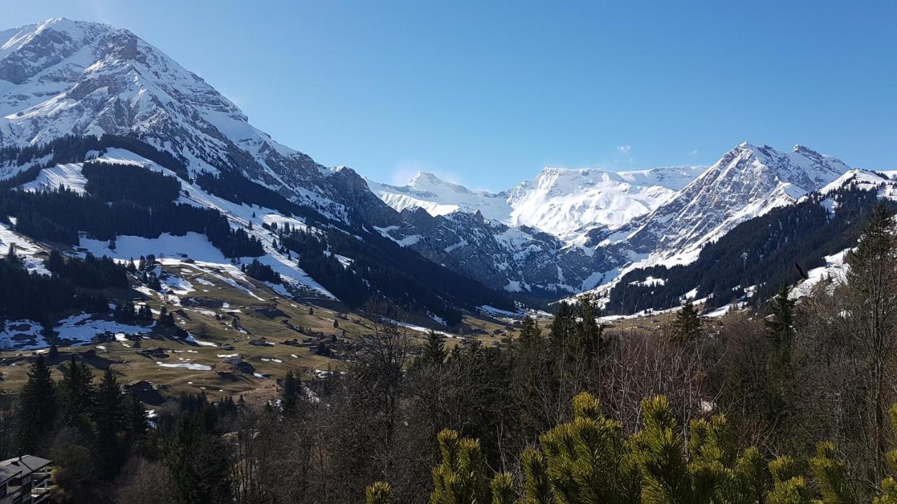 Hotel Crystal Adelboden Dış mekan fotoğraf