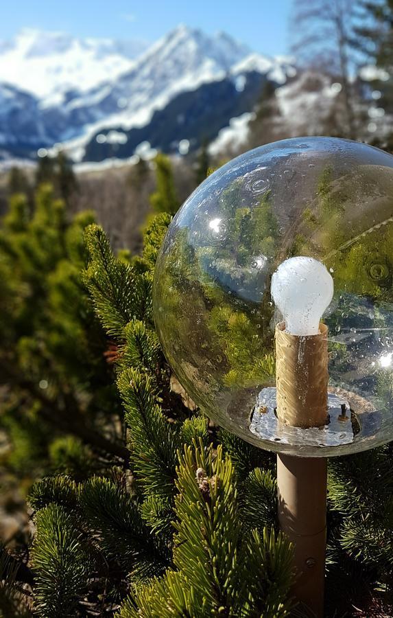 Hotel Crystal Adelboden Dış mekan fotoğraf