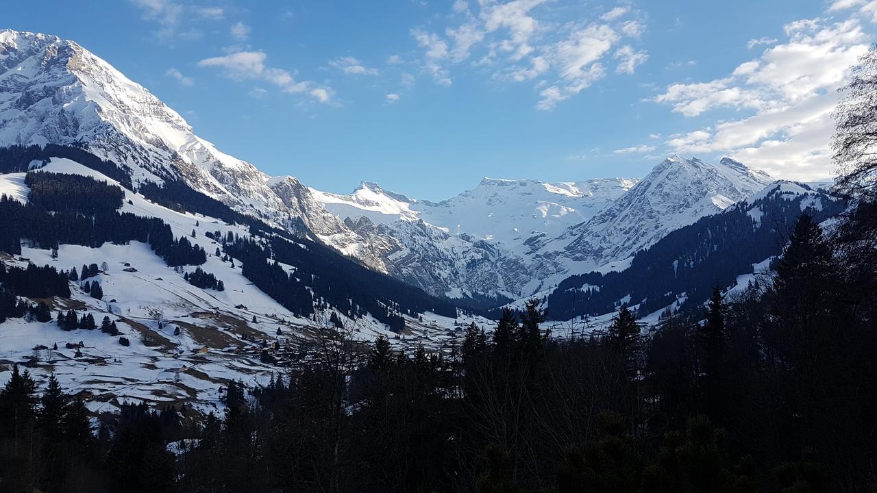 Hotel Crystal Adelboden Dış mekan fotoğraf