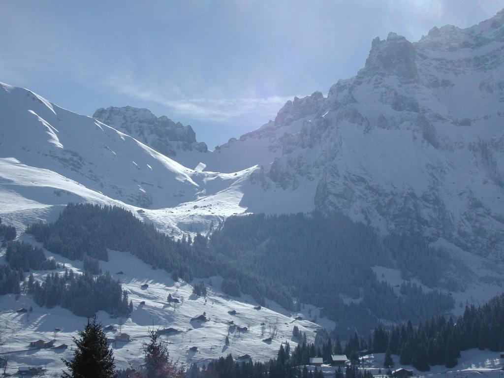 Hotel Crystal Adelboden Dış mekan fotoğraf